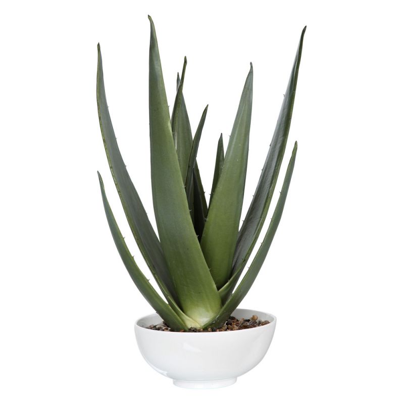 Uttermost - Evarado Aloe Planter - 60177