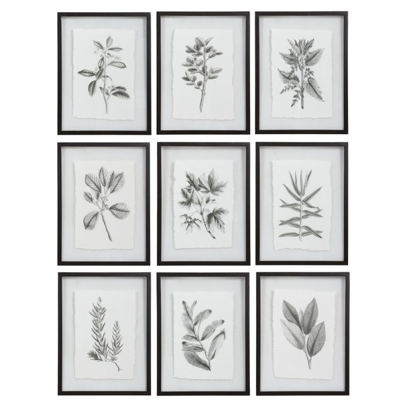 Uttermost - Farmhouse Florals Framed Prints, Set of 9 - 41617