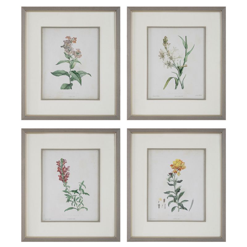 Uttermost - Heirloom Blooms Study Framed Prints Set/4 - 32285