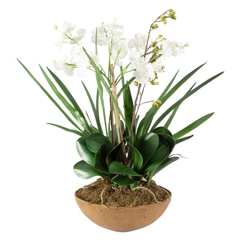 Uttermost - Moth Orchid Planter - 60039