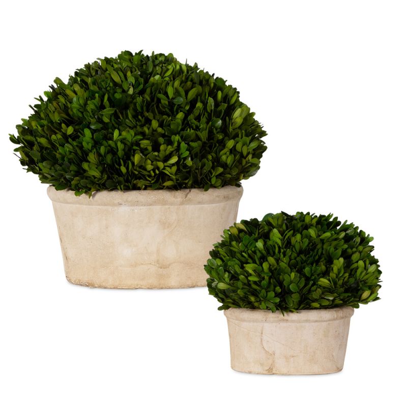 Uttermost - Oval Domes Preserved Boxwood Set/2 - 60107