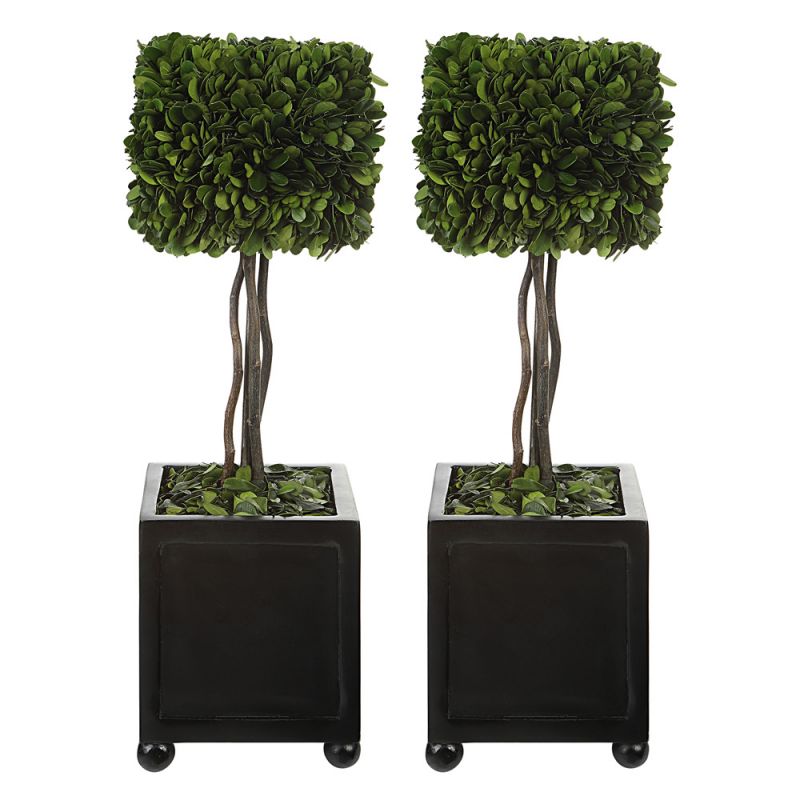 Uttermost - Preserved Boxwood Square Topiaries (Set of 2) - 60187