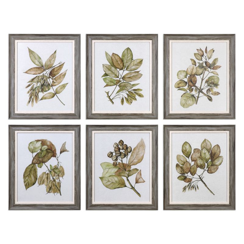 Uttermost - Seedlings Framed Prints Set of 6 - 33643