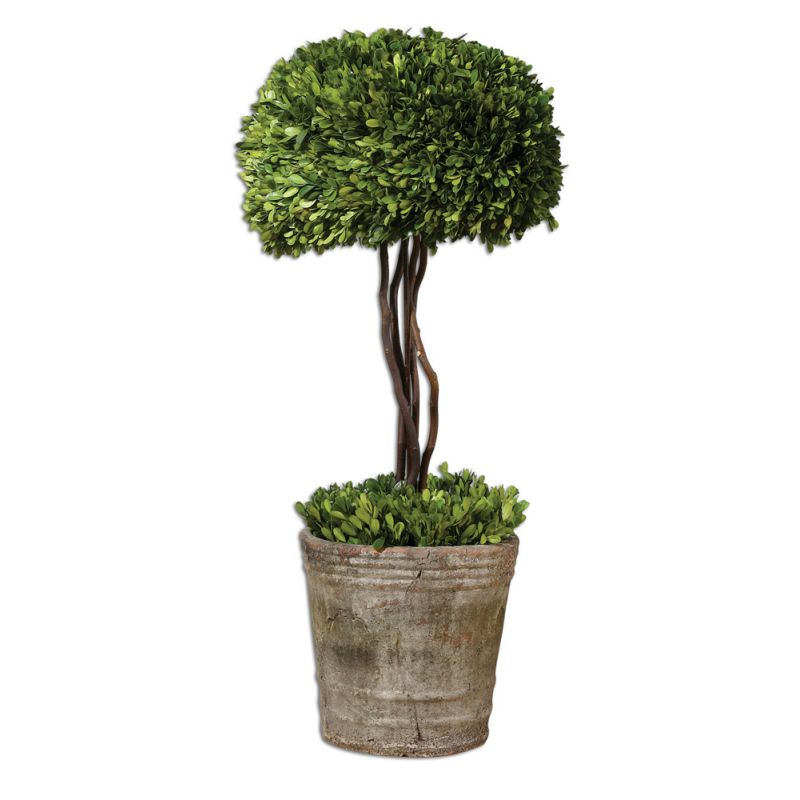 Uttermost - Tree Topiary Preserved Boxwood - 60095