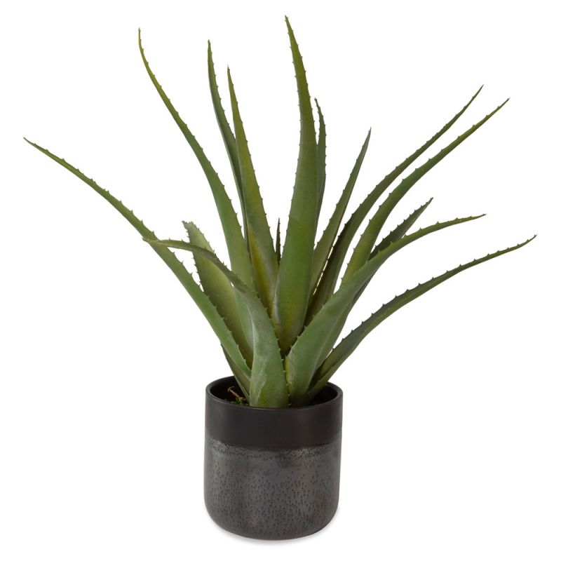 Uttermost - Tucson Aloe Planter - 60204