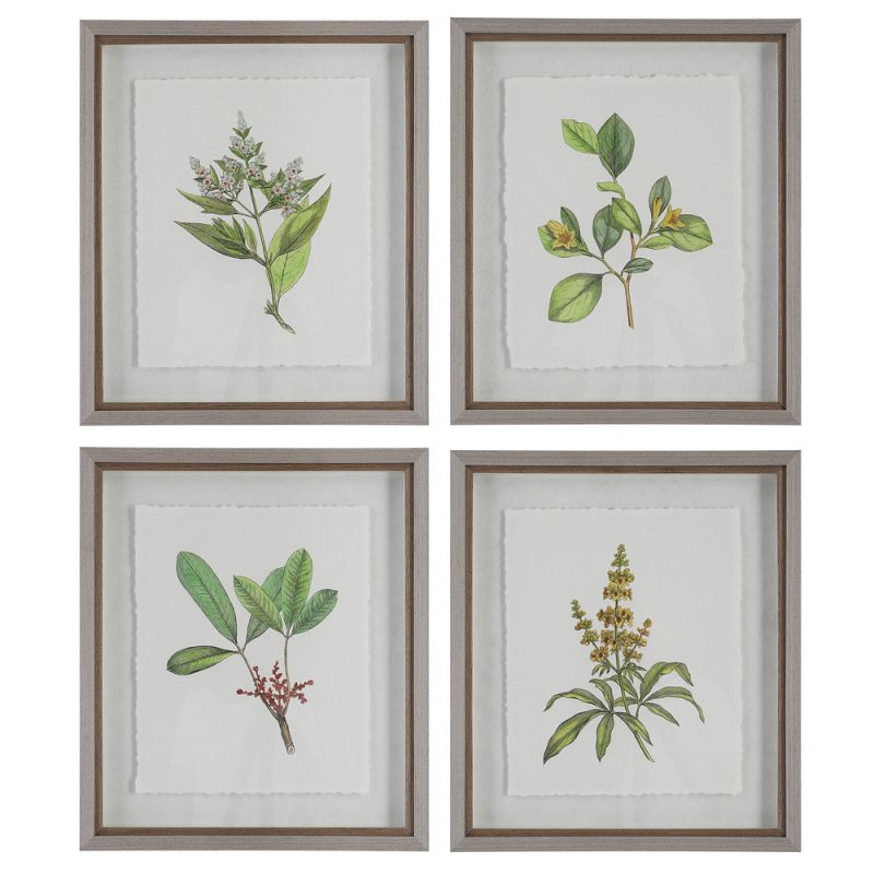 Uttermost - Wildflower Study Framed Prints (Set of 4) - 41461