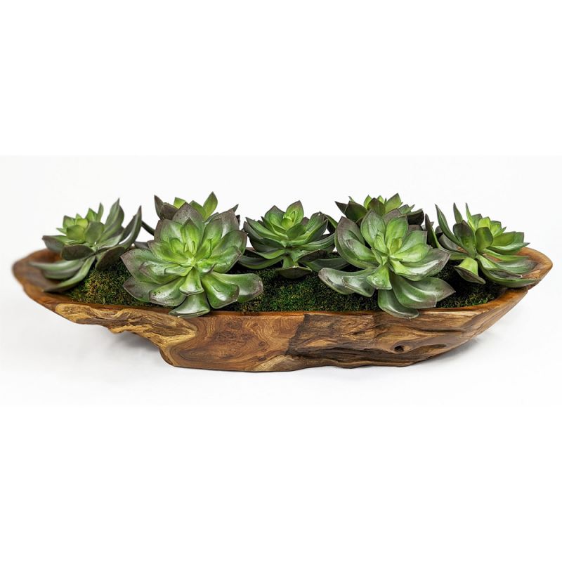 Uttermost - Yuma Succulent Centerpiece - 60205